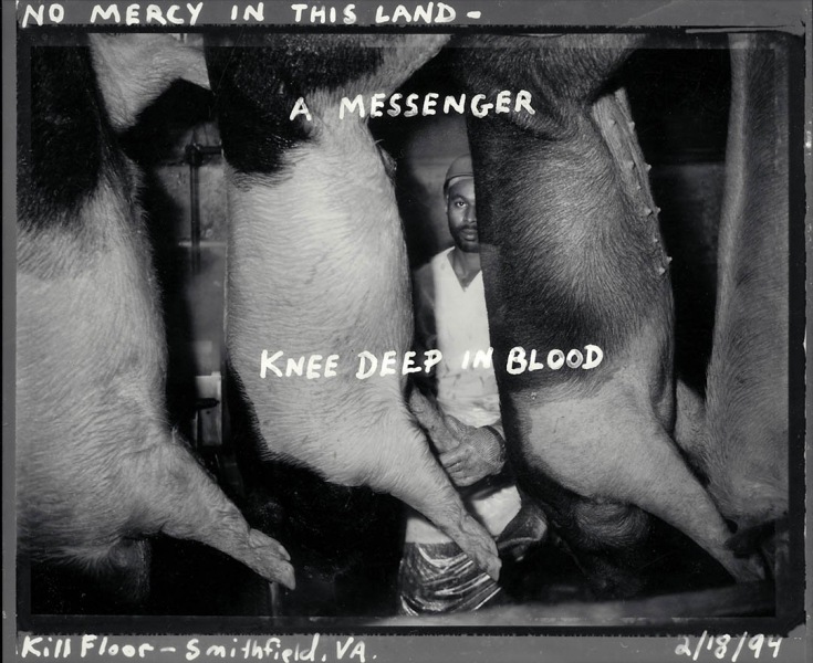 Polaroid Journal - 
Smithfield Hams slaughterhouse- killing room (photographed for the Laborer's Union). Smithfield VA, Feb 18, 1994