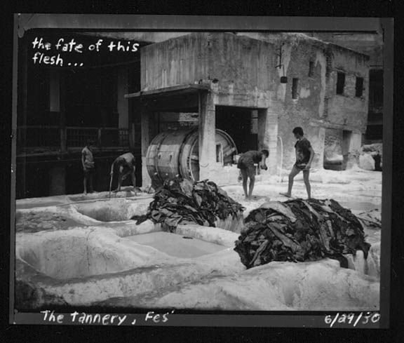 Tannery-Fez_sm