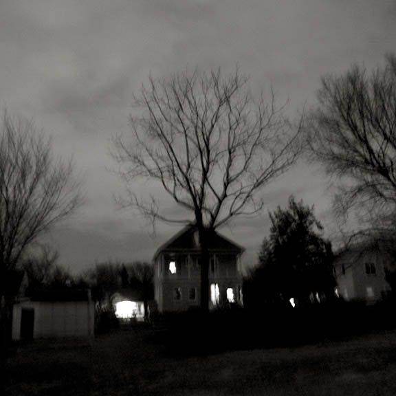 Night_view-tree-sky-blur_bw_1-15-11_001_sm